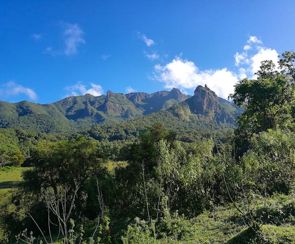 Natural Beauty in Ethiopia