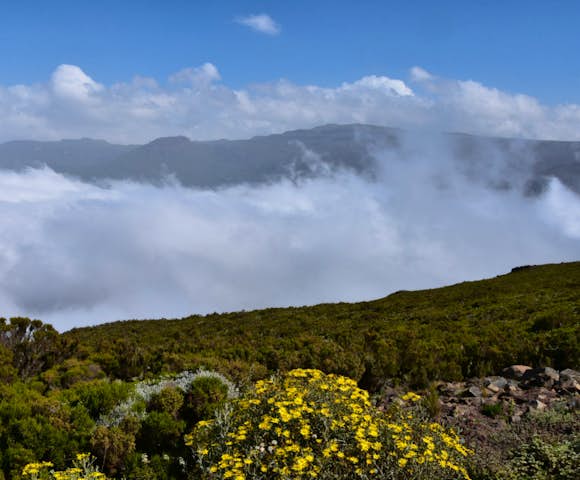 When to visit the Bale Mountains