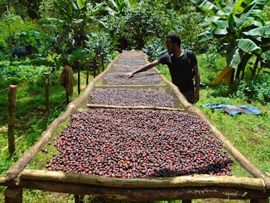 Trekking in the Bale Mountains