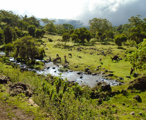 When to visit the Bale Mountains