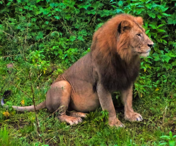 When to visit the Bale Mountains