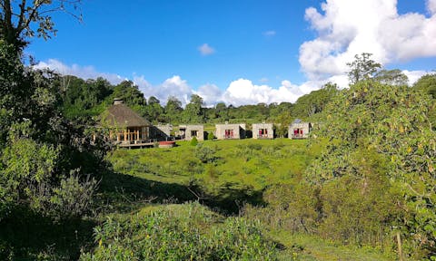 Bale mountains lodge rooms and reception