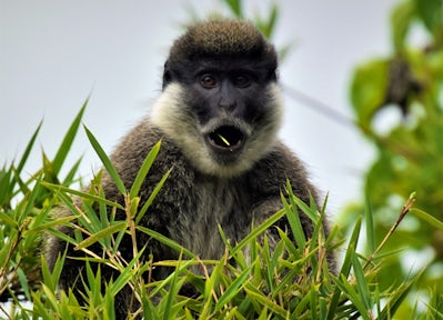 Trekking in the Bale Mountains