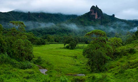 Bale Mountains National Park