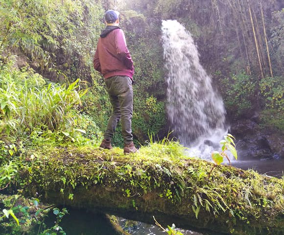 Reasons to Visit the Bale Mountains