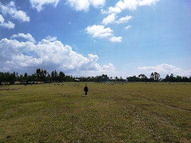 Community Trekking in Lalibela