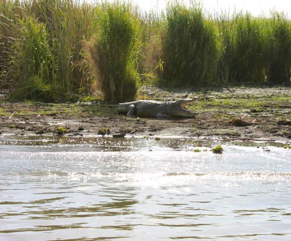 Great Lakes of Ethiopia