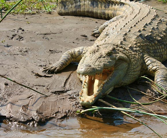 Great Lakes of Ethiopia