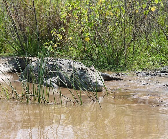 Great Lakes of Ethiopia