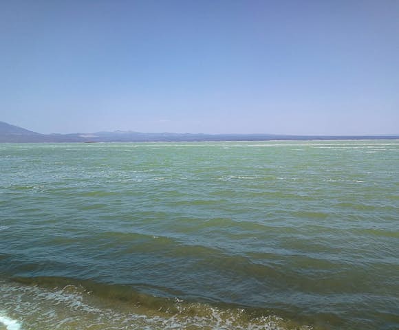 Salt Lakes of the Danakil Depression