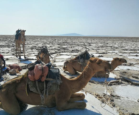 Danakil Depression