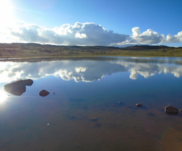 Natural Beauty in Ethiopia