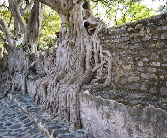 Fasilides Bath in Gondar Ethiopia