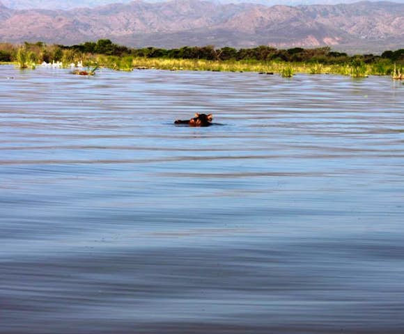 Great Lakes of Ethiopia