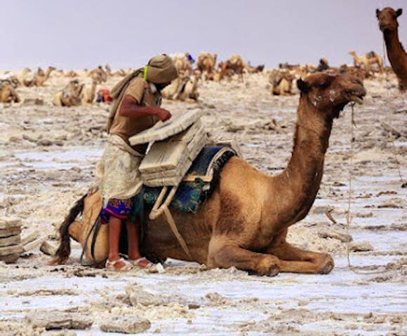 How to get to the Danakil Depression