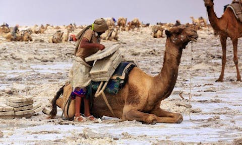 When to Visit the Danakil Depression