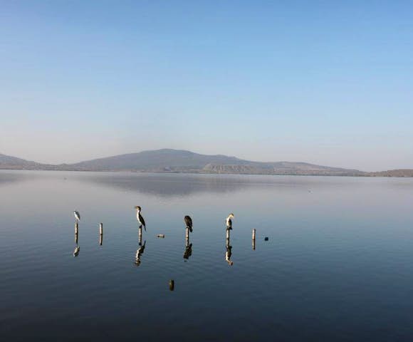 Great Lakes of Ethiopia