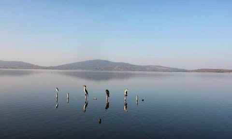 Great Lakes of Ethiopia