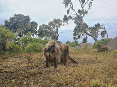 What to Expect in Ethiopia