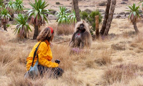 Woman looking at Gelada Monkey in the Simien Mountains