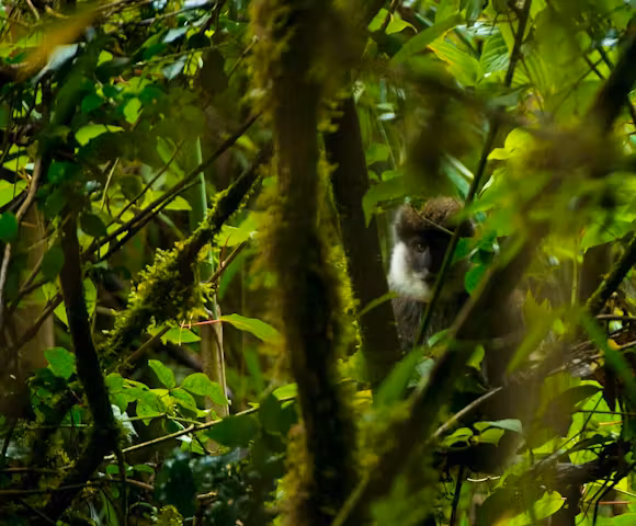 When to visit the Bale Mountains