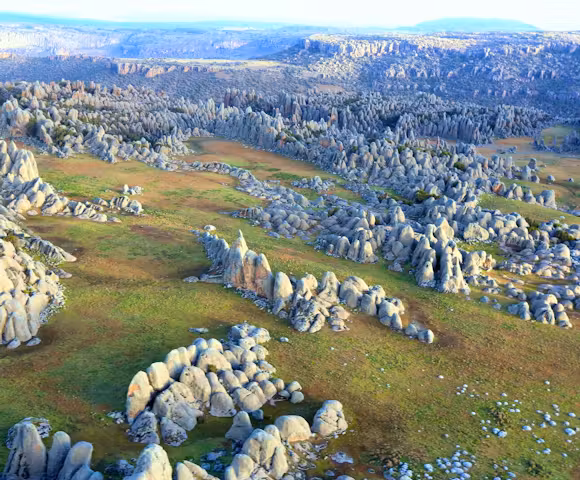 Natural Beauty in Ethiopia